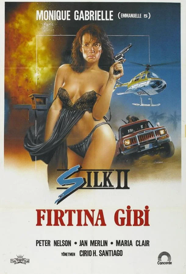 Шелк 2